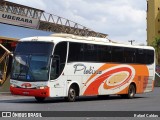 Viação Platina 6010 na cidade de Uberaba, Minas Gerais, Brasil, por Rafael Caldas. Número da foto: #13332714.