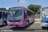 Radial Transporte Coletivo 1230 na cidade de São Paulo, São Paulo, Brasil, por Paulo Alexandre da Silva. Número da foto: #13330609.