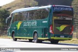 Pássaro Verde 18914 na cidade de Coimbra, Minas Gerais, Brasil, por Christian  Fortunato. Número da foto: #13330286.