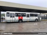 Borborema Imperial Transportes 417 na cidade de Recife, Pernambuco, Brasil, por Gustavo Ribeiro. Número da foto: #13332875.