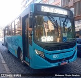 FAOL - Friburgo Auto Ônibus 603 na cidade de Nova Friburgo, Rio de Janeiro, Brasil, por Mateus de Oliveira Simplicio. Número da foto: #13330381.