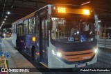 Autotrans > Turilessa 25F88 na cidade de Belo Horizonte, Minas Gerais, Brasil, por Gabriel Costa Guimarães. Número da foto: #13332061.