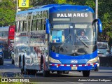 ATP - Autotransportes Palmares 32 na cidade de La Uruca, San José, San José, Costa Rica, por Andrés Martínez Rodríguez. Número da foto: #13331580.