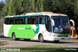 Pássaro Verde 29018 na cidade de Muriaé, Minas Gerais, Brasil, por Lucas Oliveira. Número da foto: #13330908.