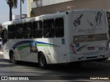 Viação Pássaro Branco 301 na cidade de Patos de Minas, Minas Gerais, Brasil, por Hariel Bernades. Número da foto: #13330639.