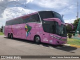 Nova América Turismo 2500 na cidade de Parapuã, São Paulo, Brasil, por Carlos Vinícius Estevão Menezes. Número da foto: #13330805.